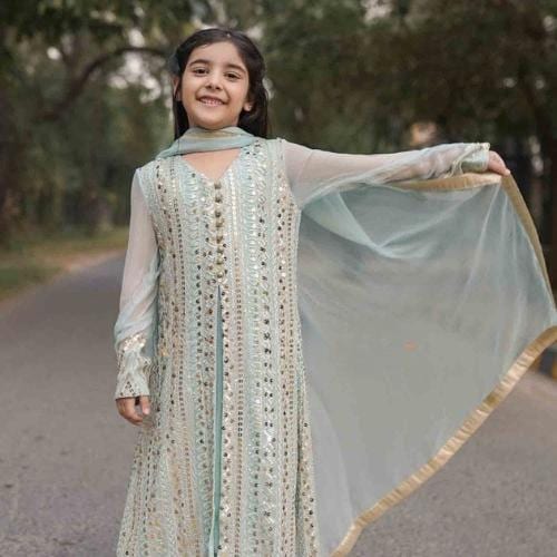 Elegant Embroidered Chiffon Mom & Daughter viral trending pakistani sequins Outfit.