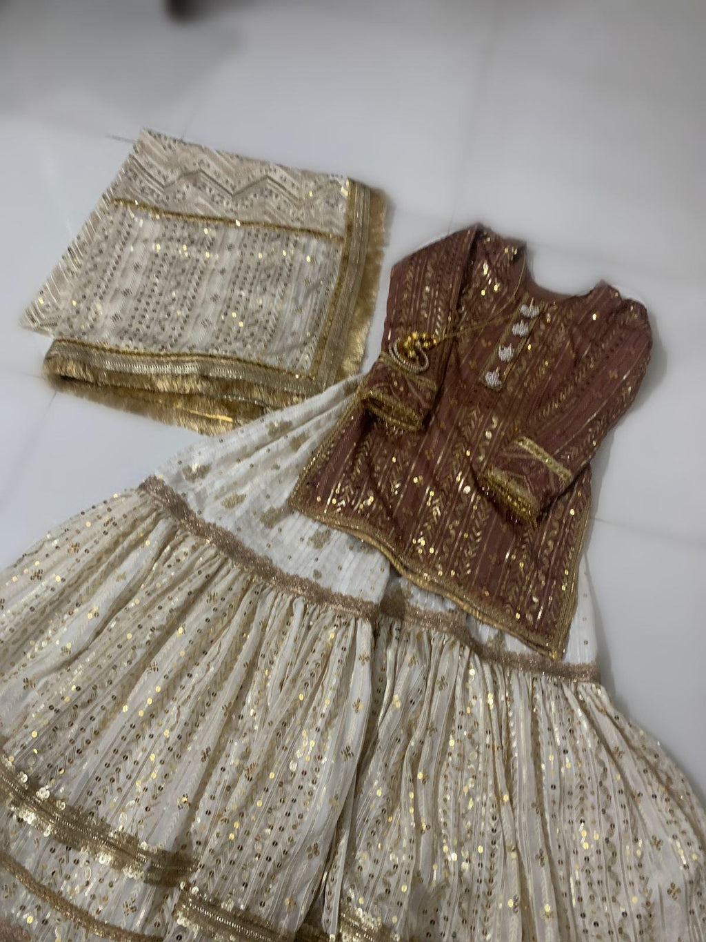 pakistani chickenkari chiffon sequins embroidery wedding-shadi party wear