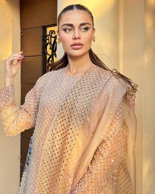 Sequin Rhinestone Pakistani 3-Piece Suit: Designer Wedding Outfit fully customised made to order,sheesha silk MUSE